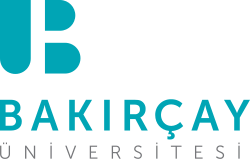 İzmir Bakırçay Üniversitesi